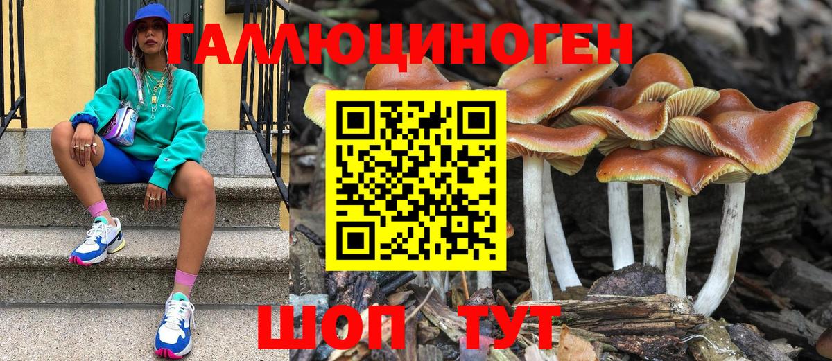 Псилоцибиновые грибы Cubensis Мончегорск
