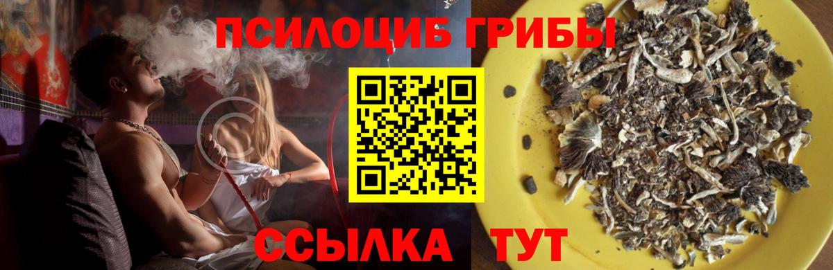 Псилоцибиновые грибы Cubensis  Вход с VPN  Галлюциногенные грибы GOLDEN TEACHER  Мончегорск 
